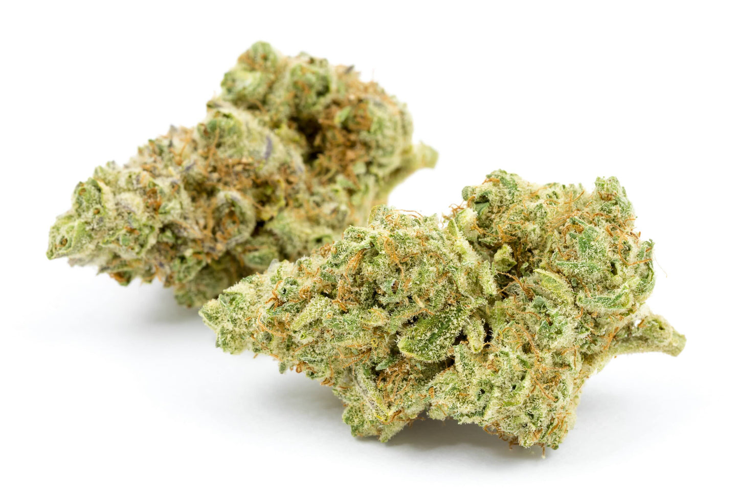 Gelato